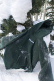 Floatees Script Hoodie - Pine Green